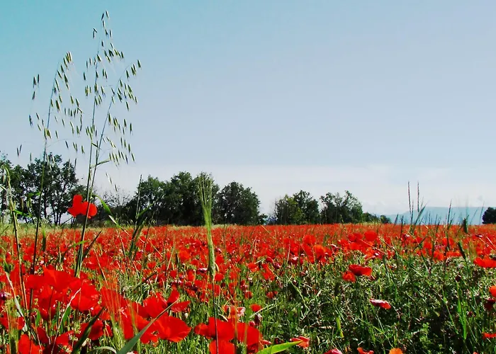 Hôtels à Gréoux-les-Bains